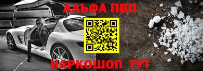 индика Гатчина