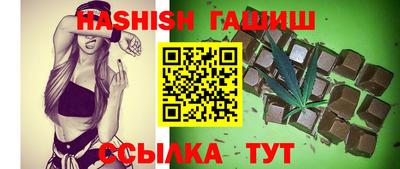 индика Гатчина