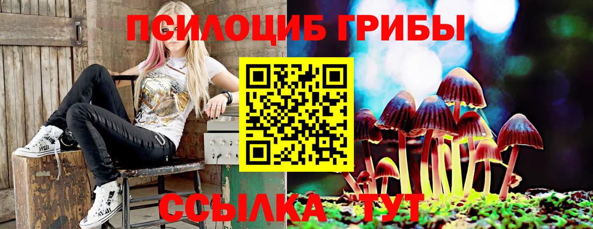 Псилоцибиновые грибы GOLDEN TEACHER  Вход с VPN  Мценск 